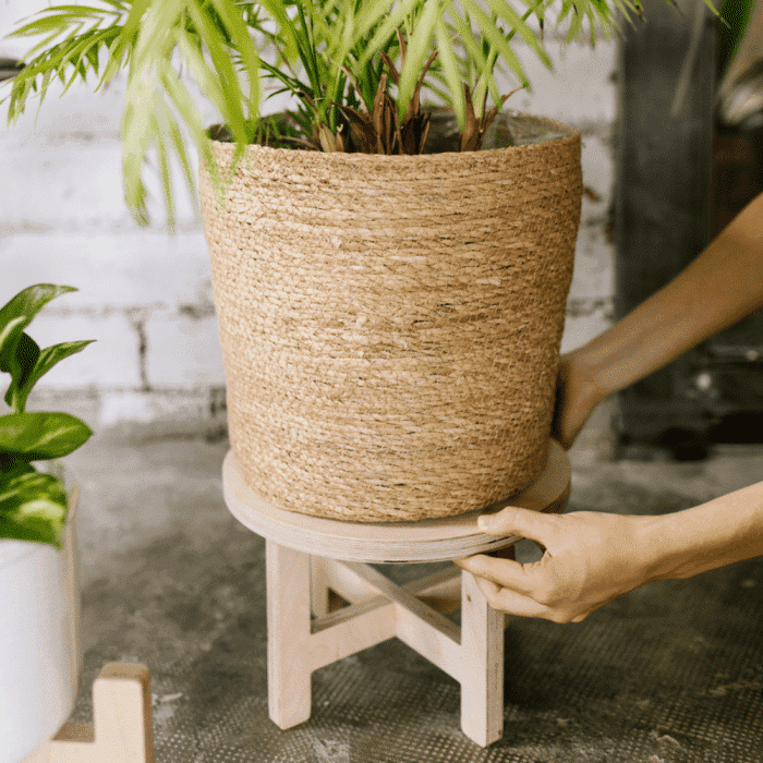 soporte-tiestos-grandes-madera-la-selva-ekohunters-ecodiseño-sostenibilidad-debosc-decoracion-soporte-tiestos