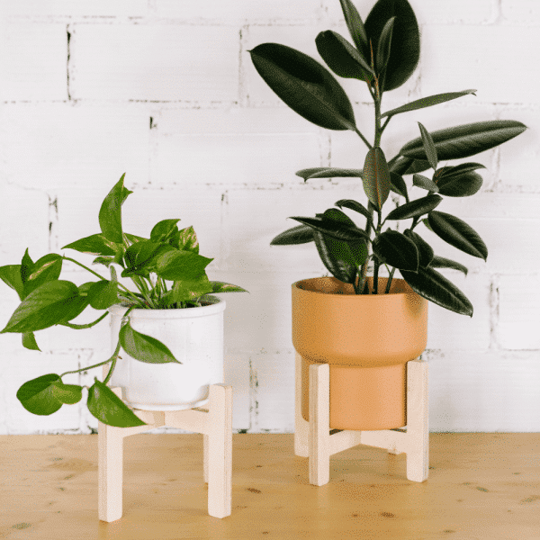 soporte-tiestos-madera-la-selva-ekohunters-ecodiseño-sostenibilidad-debosc-decoracion-soporte-tiestos-opciones
