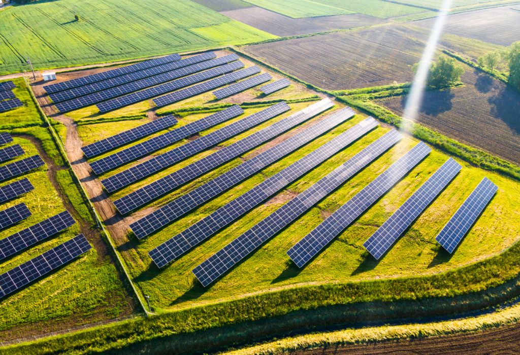 Buenas Noticias del Medio Ambiente 2023: Avances Contra el Calentamiento Global