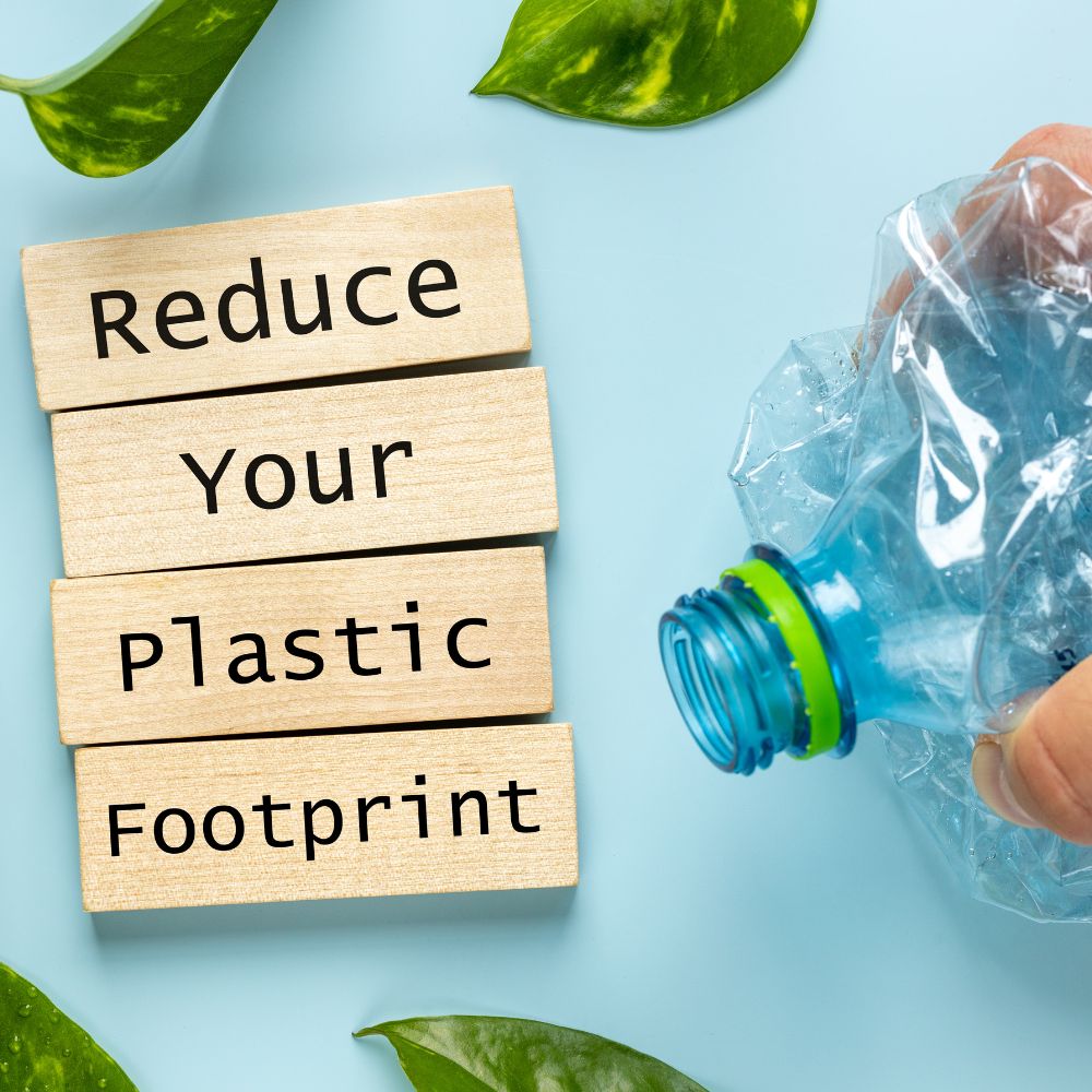 International Plastic Bag-Free Day: Small Actions, Big Changes